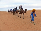DESIERTO CAMELLOS